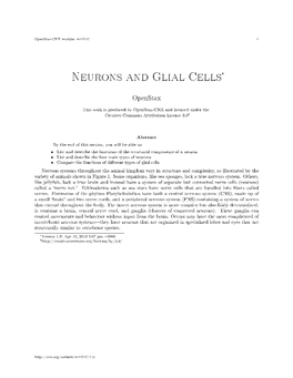 Neurons and Glial Cells*