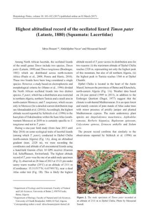 Highest Altitudinal Record of the Ocellated Lizard Timon Pater (Lataste, 1880) (Squamata: Lacertidae)