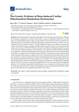 The Genetic Evidence of Burn-Induced Cardiac Mitochondrial Metabolism Dysfunction