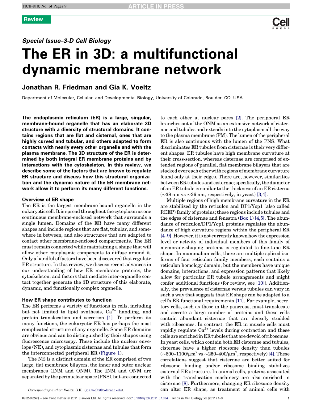 The ER in 3D: a Multifunctional Dynamic Membrane Network