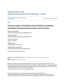 Immature Stages of Spodoptera Albula (Walker) (Lepidoptera: Noctuidae): Developmental Parameters and Host Plants