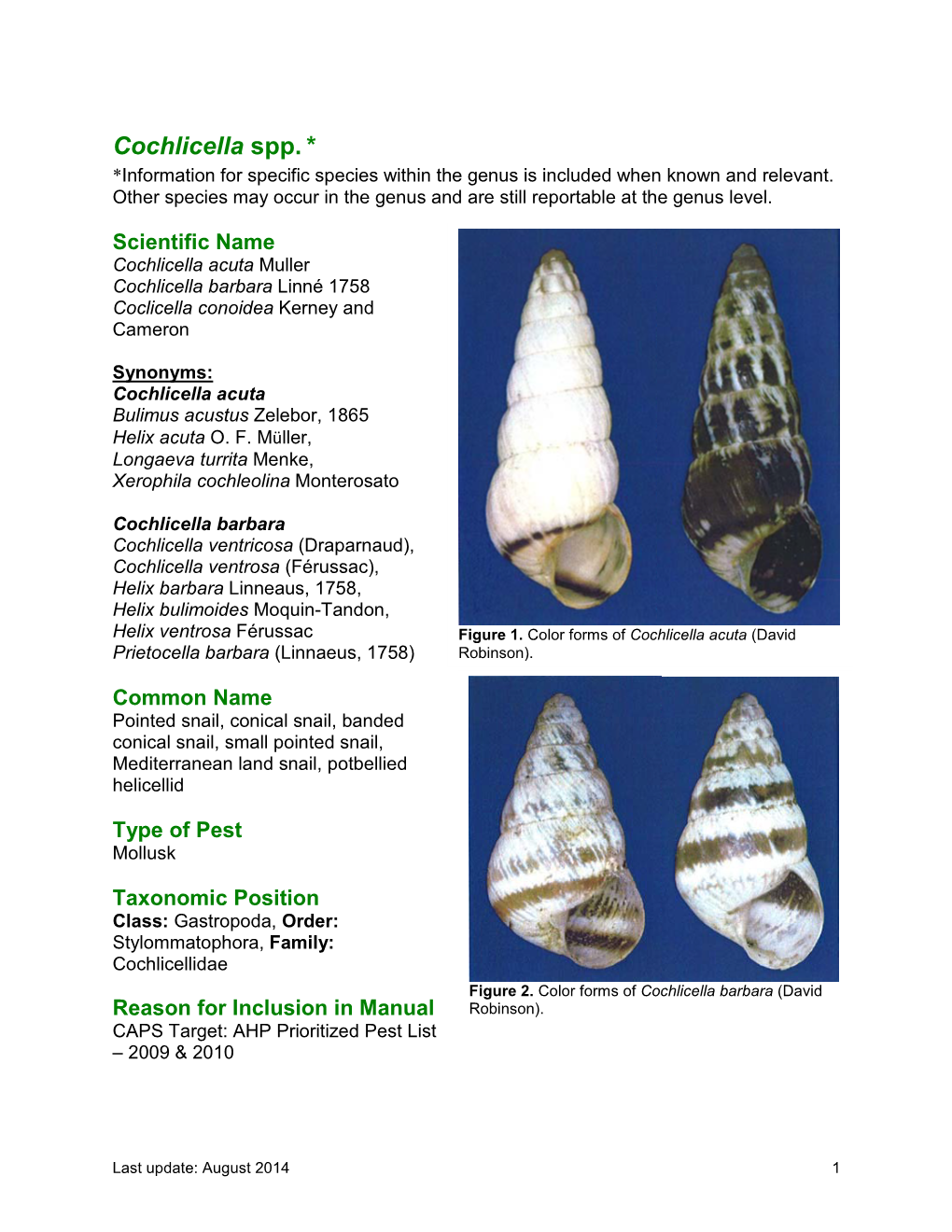 Cochlicella Spp. * *Information for Specific Species Within the Genus Is Included When Known and Relevant