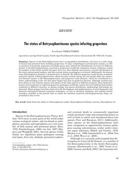 The Status of Botryosphaeriaceae Species Infecting Grapevines