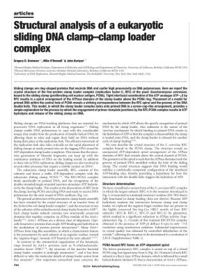Structural Analysis of a Eukaryotic Sliding DNA Clamp–Clamp Loader Complex