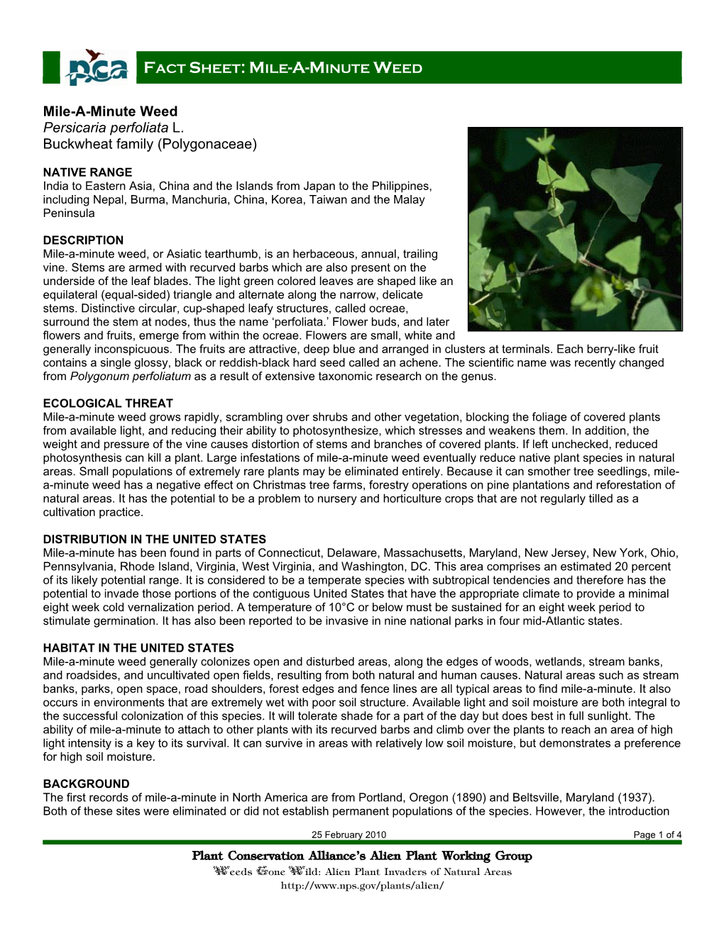 Plant Conservation Alliance®S Alien Plant Working Group