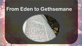 From Eden to Gethsemane