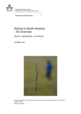Elymus in South America – an Overview