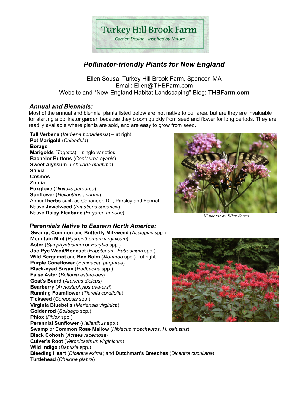 Pollinator-Friendly Plants for New England