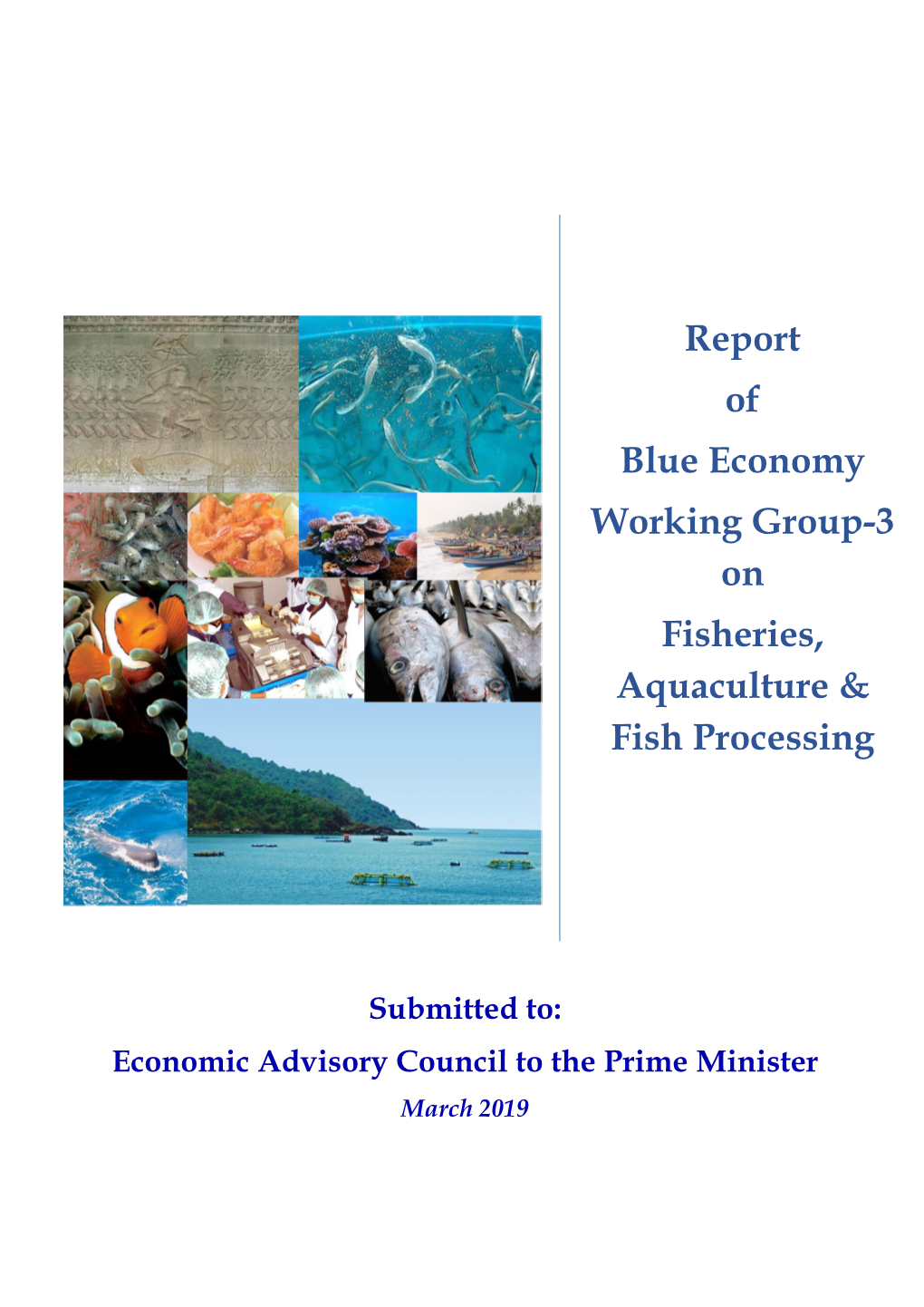 Report on Blue Economy: Fisheries, Aquaculture and Fish Processing