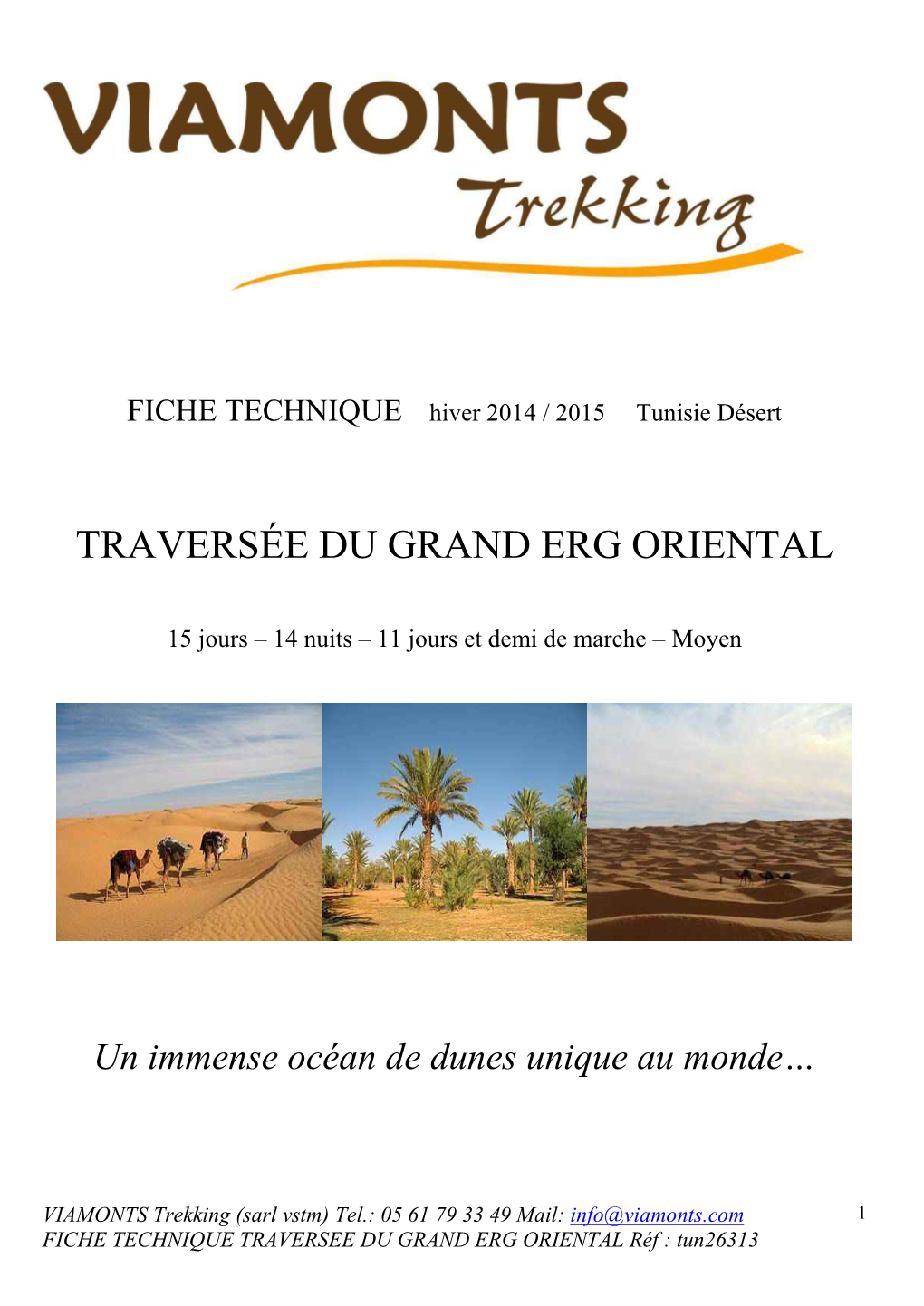 Traversée Du Grand Erg Oriental