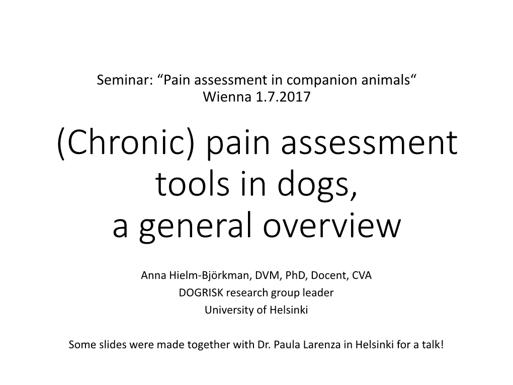 Pain Assessment Tools in Dogs, a General Overview