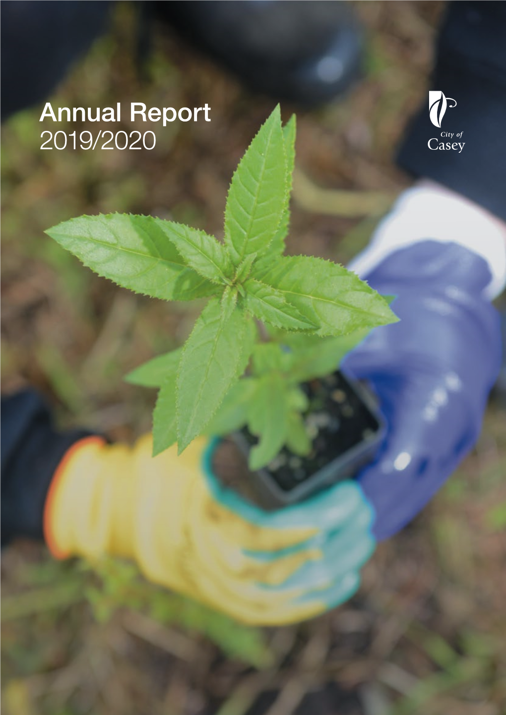 Annual Report 2019/2020