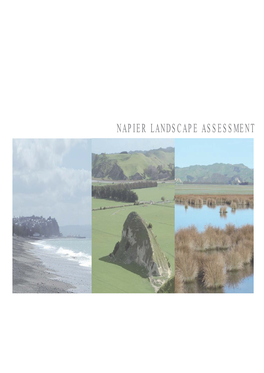 Napier Landscape Assessment