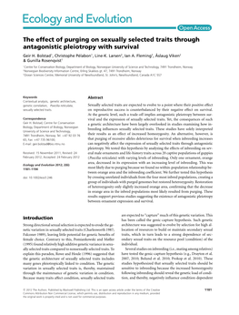 The Effect of Purging on Sexually Selected Traits Through Antagonistic Pleiotropy with Survival Geir H