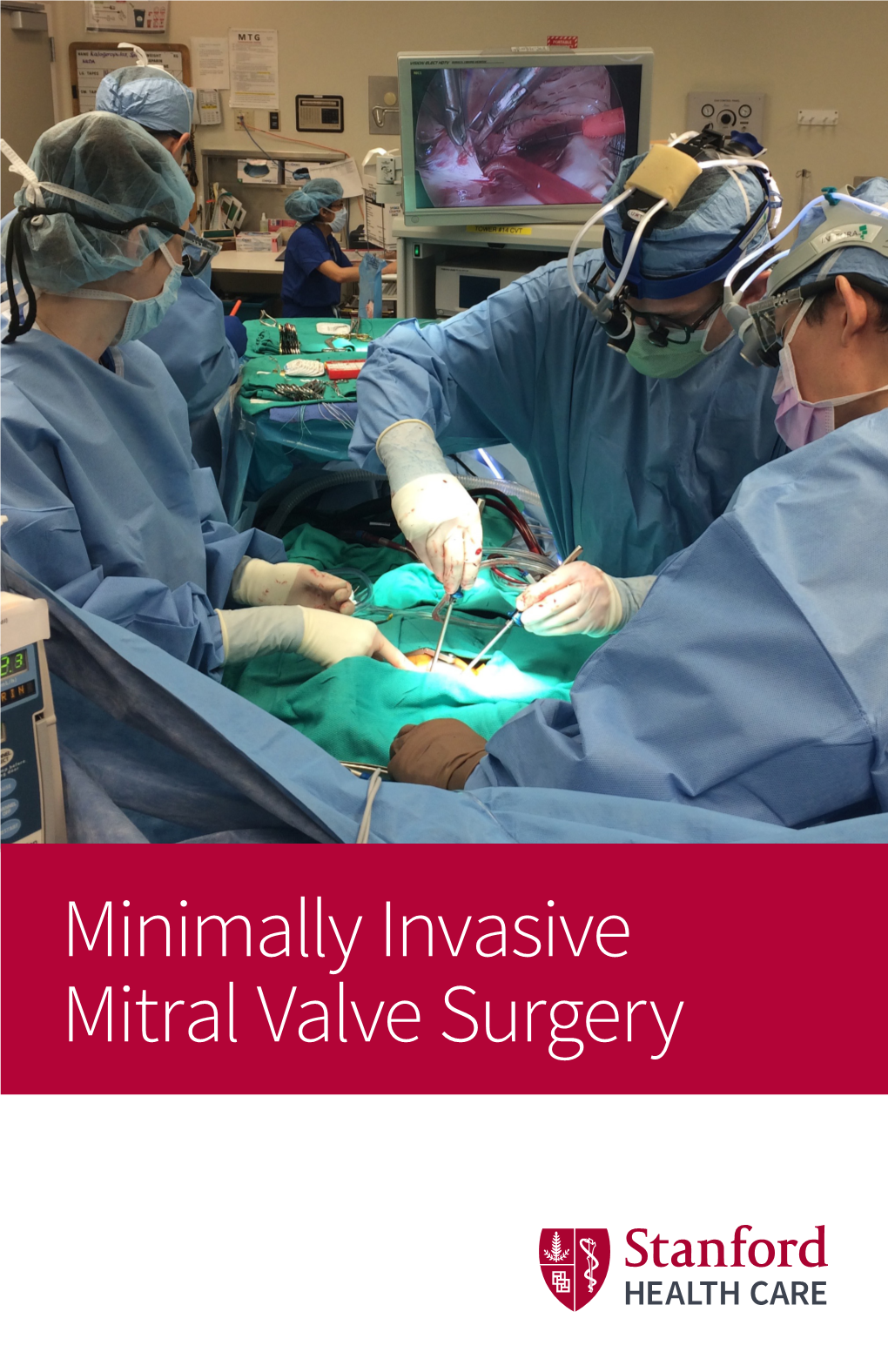 Minimally Invasive Mitral Valve Surgery