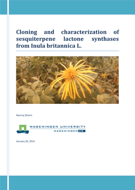 Cloning and Characterization of Sesquiterpene Lactone Synthases from Inula Britannica L