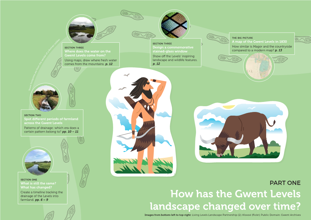 How Has the Gwent Levels Landscape Changed Over Time?