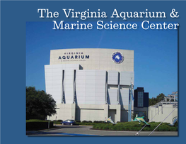 The Virginia Aquarium & Marine Science Center