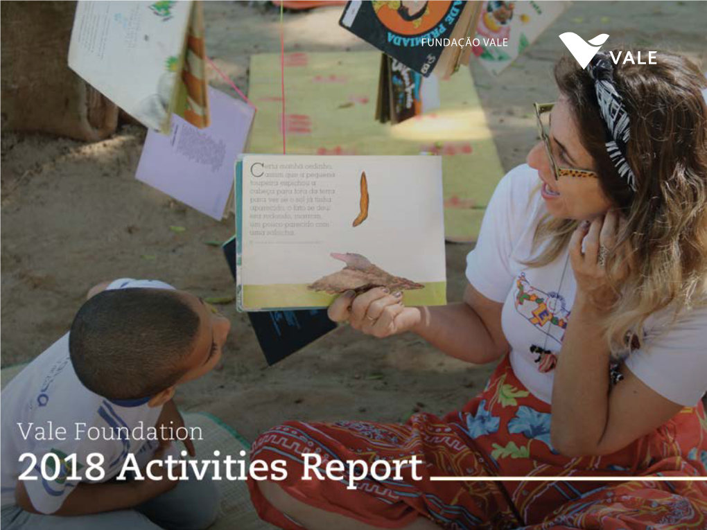 Download the 2018 Vale Foundation's Activities Report