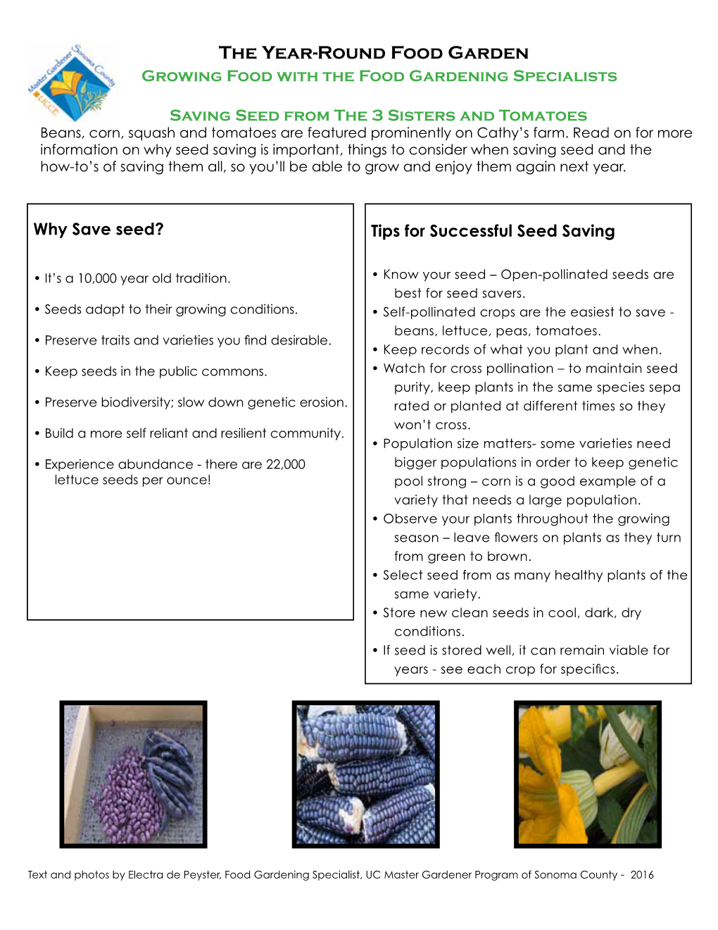 Save Seed? Tips for Successful Seed Saving