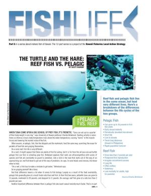 The Turtle and the Hare: Reef Fish Vs. Pelagic