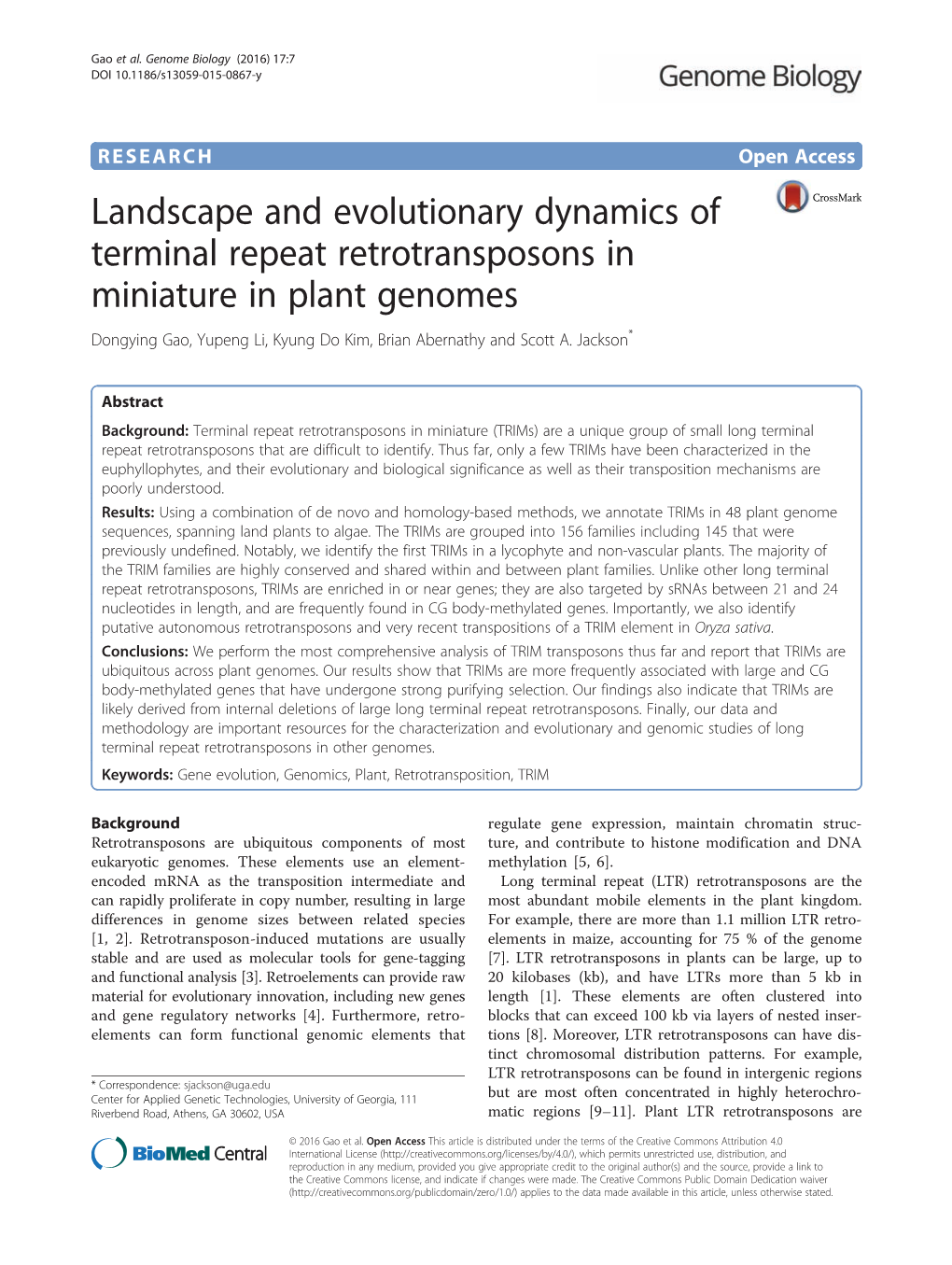 Landscape and Evolutionary Dynamics of Terminal Repeat