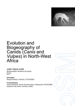 Evolution and Biogeography of Canids (Canis and Vulpes) in North-West Africa