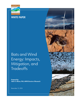 Bats and Wind Energy: Impacts, Mitigation, and Tradeoffs