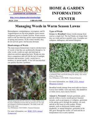 Managing Weeds in Warm Season Lawns