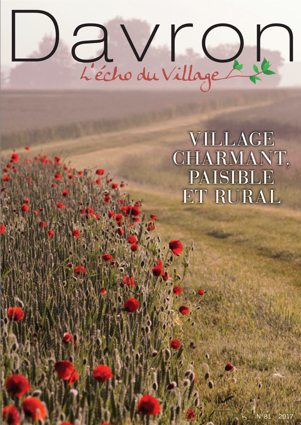 DAVRON Echo Du Village Juillet 2017 28 Pages.Indd