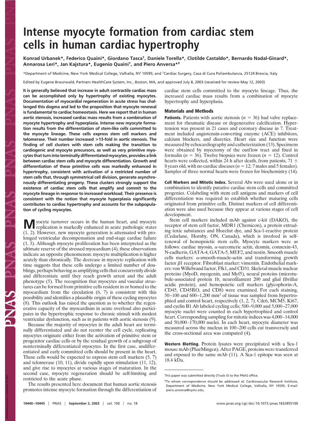 Intense Myocyte Formation from Cardiac Stem Cells in Human Cardiac Hypertrophy