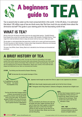 A Beginners Guide to TEA Tea Is Second Only to Water As the Most Consumed Drink in the World