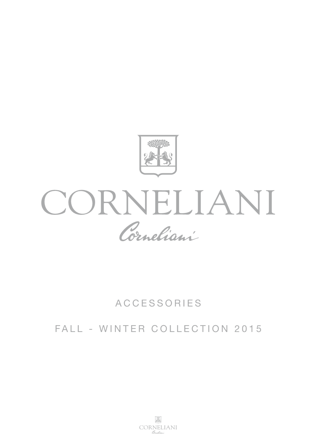 Winter Collection 2015 Accessories