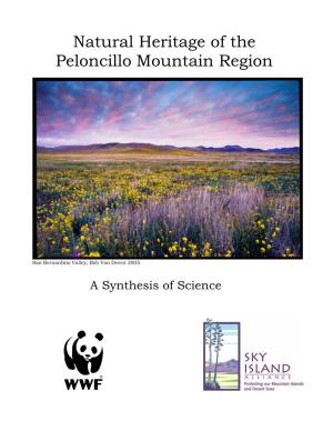 Natural Heritage of the Peloncillo Mountain Region