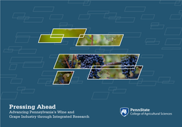 Penn State Wine and Grape Team Advance Grape Production and Winemaking in Pennsylvania?