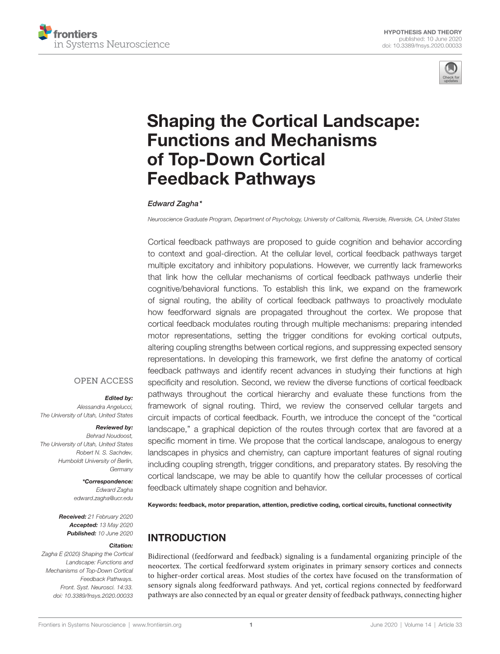 shaping-the-cortical-landscape-functions-and-mechanisms-of-top-down