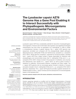 The Lysobacter Capsici AZ78 Genome Has a Gene Pool Enabling It to Interact Successfully with Phytopathogenic Microorganisms and Environmental Factors