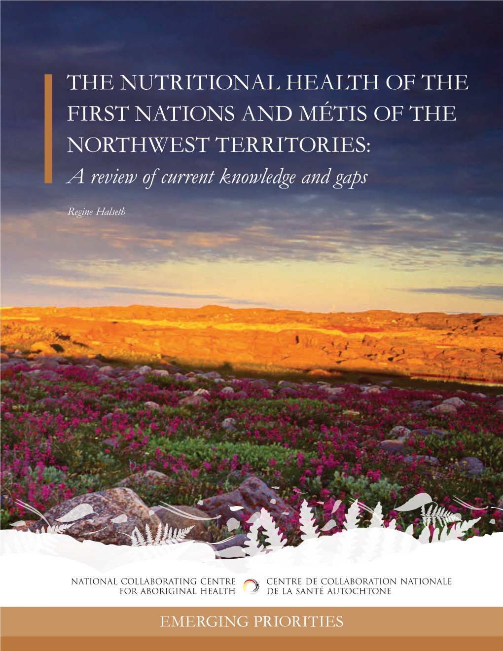 THE NUTRITIONAL HEALTH of the FIRST NATIONS and MÉTIS of the NORTHWEST TERRITORIES: a Review of Current Knowledge and Gaps