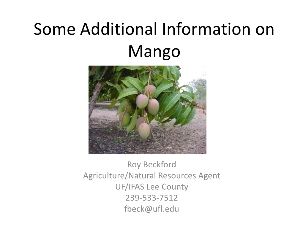 Mango Presentation