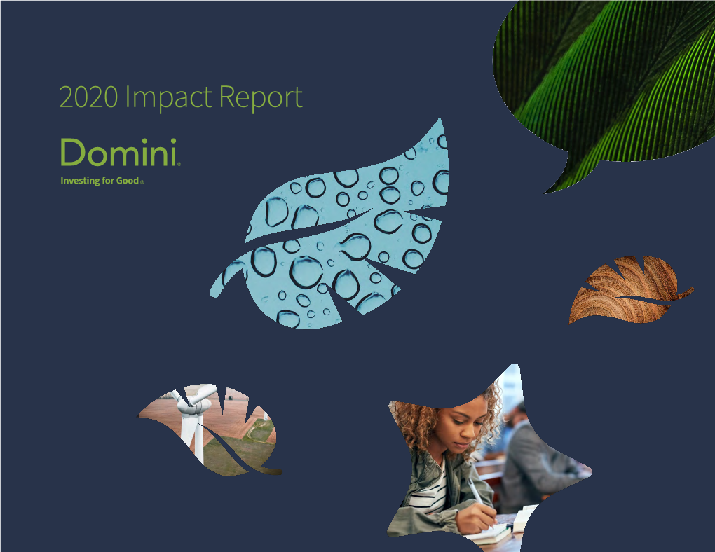 2020 Impact Report Domini 2020 Impact Report Table of Contents