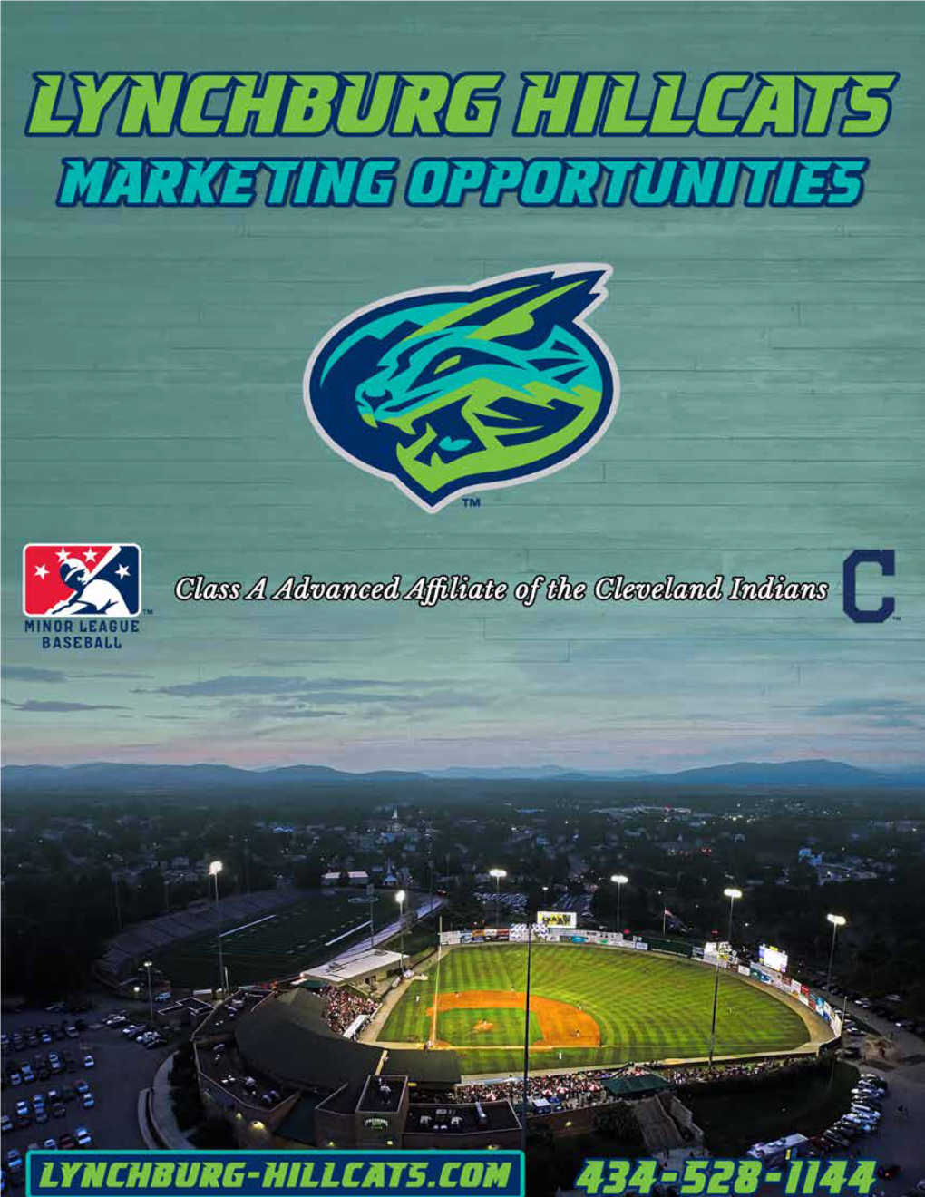 Partner with the Hillcats