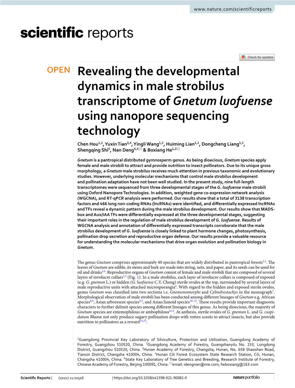 Revealing the Developmental Dynamics in Male Strobilus