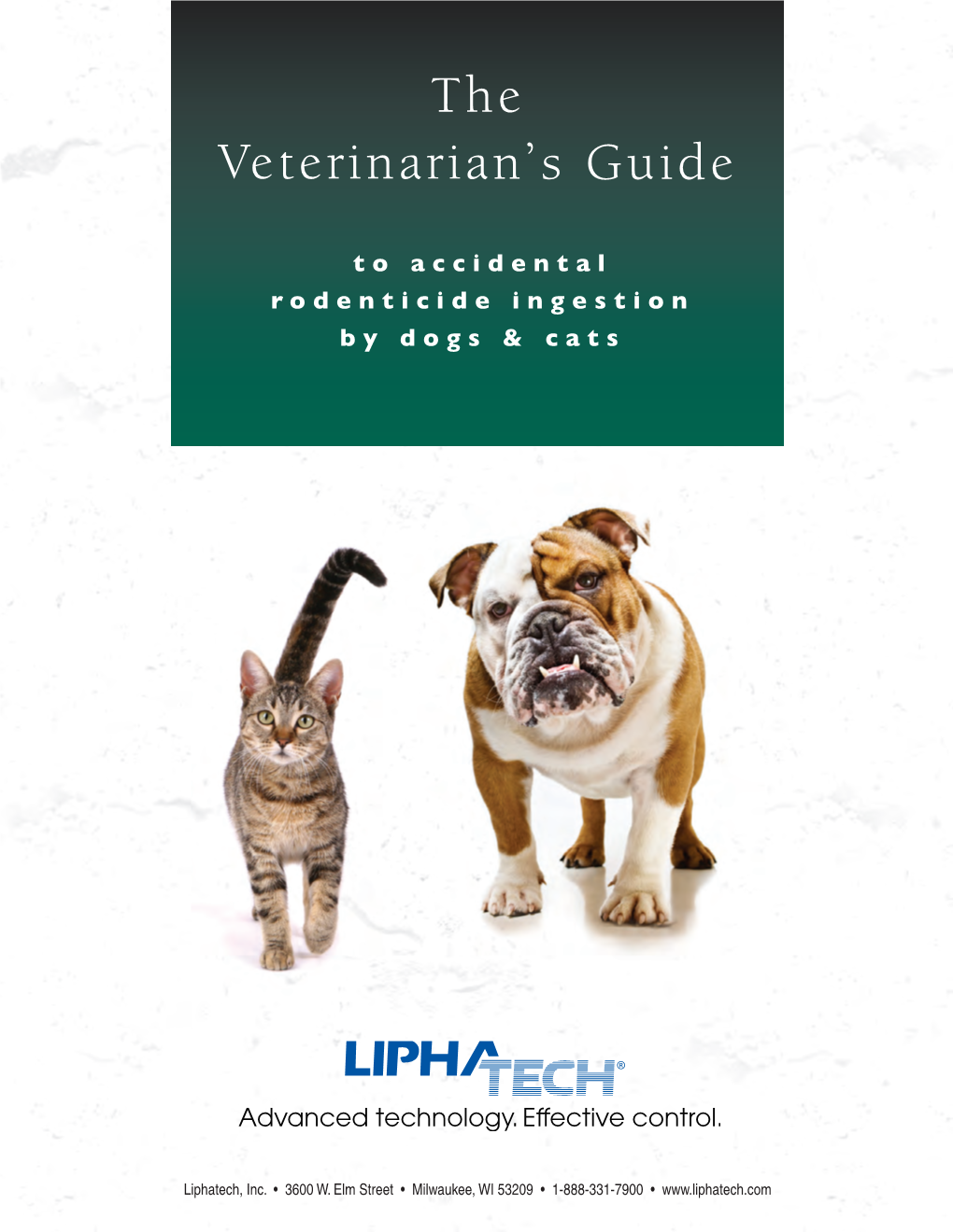 Of Anticoagulant Rodenticides to Dogs