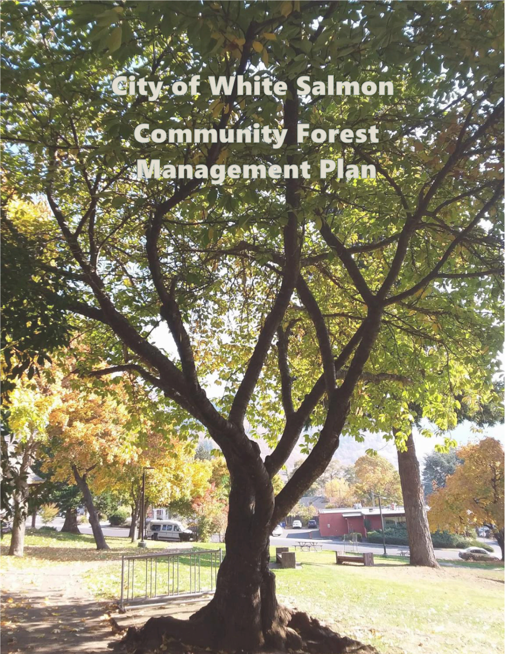 City of White Salmon Community Forest Management Plan