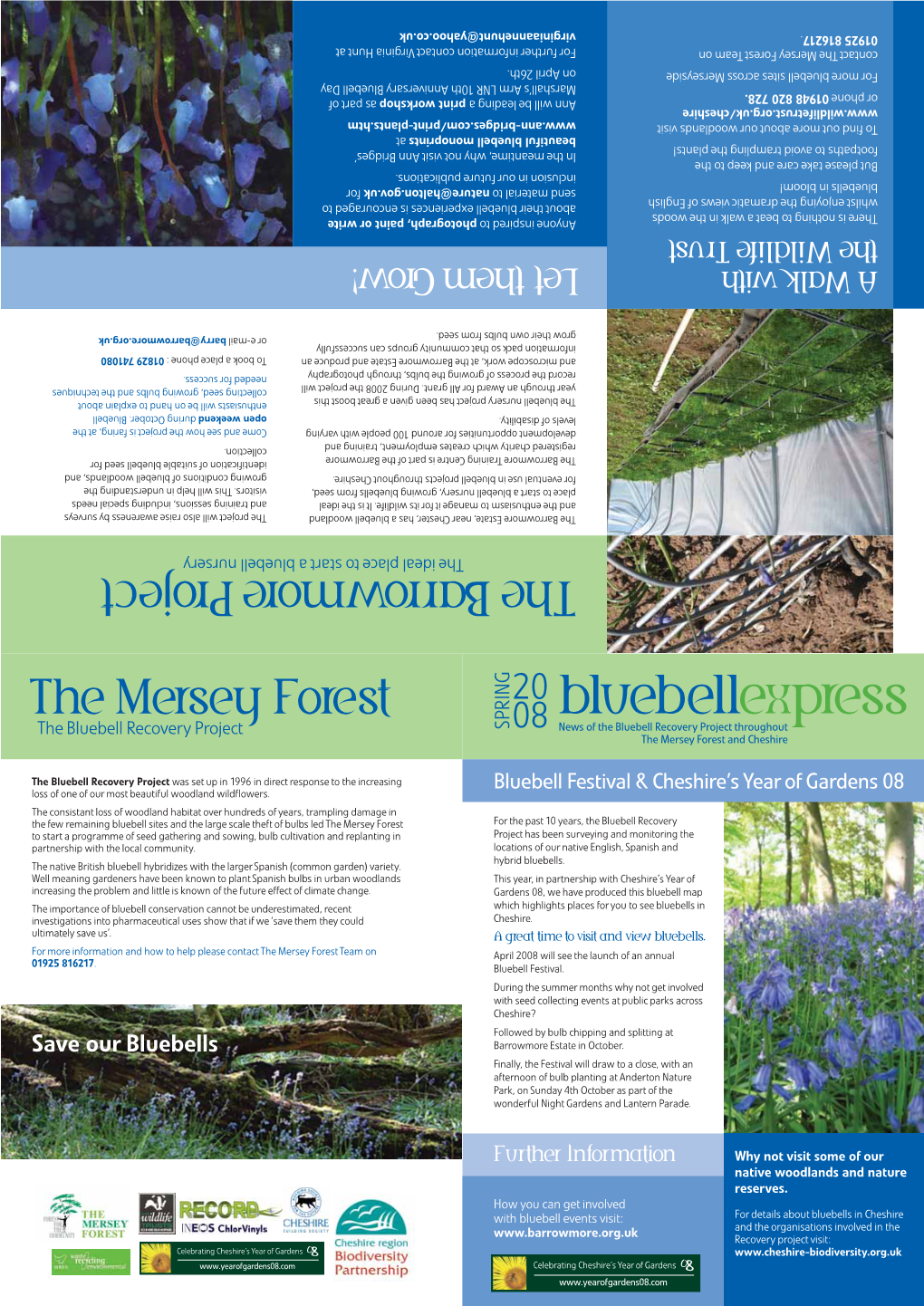 Bluebellexpress the Bluebell Recovery Project SPRING 08 News of the Bluebell Recovery Project Throughout the Mersey Forest and Cheshire