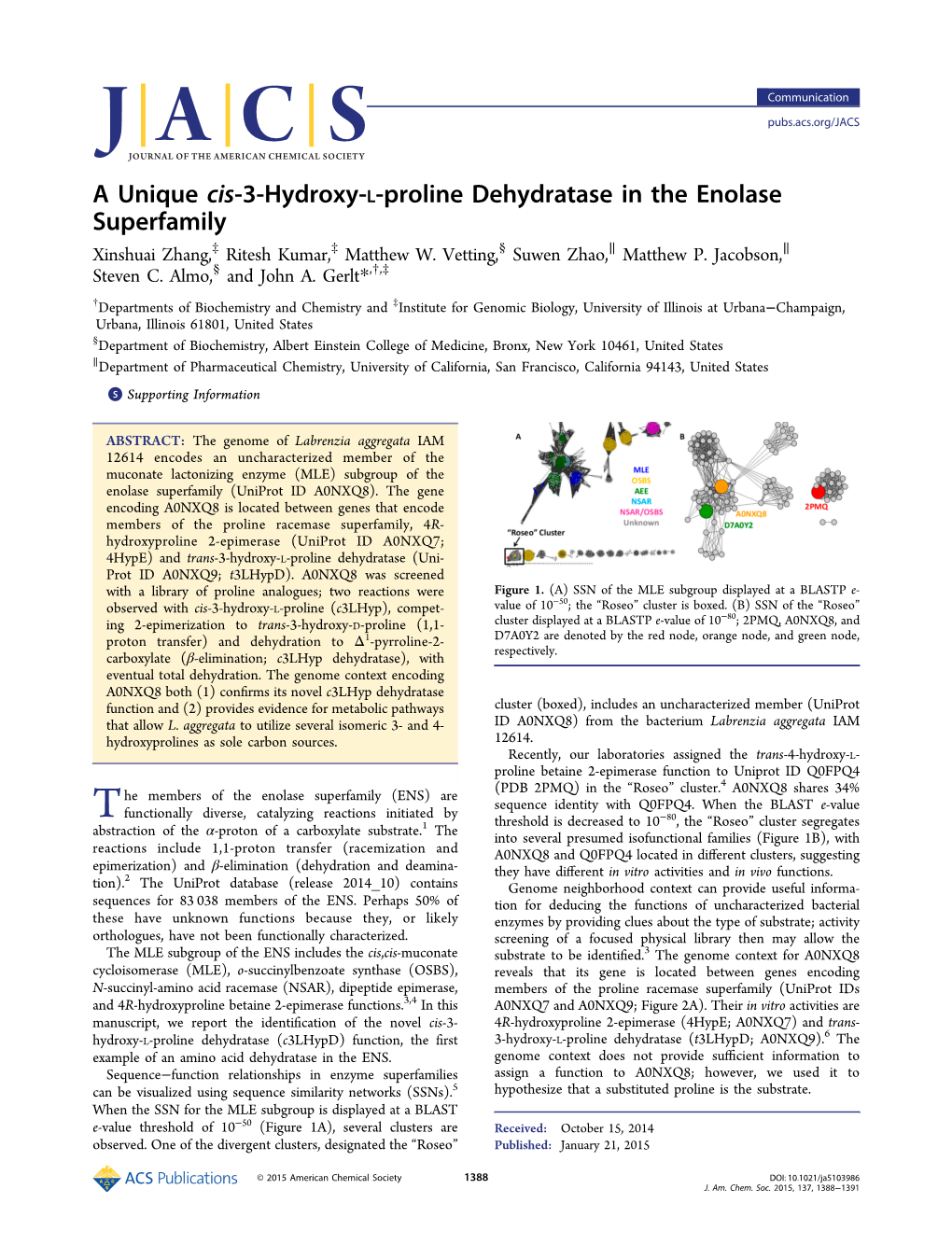 16. a Unique Cis-3-Hydroxy-L-Proline Dehydratase in the Enolase Superfamily