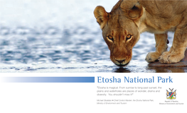 Etosha National Park Brochure