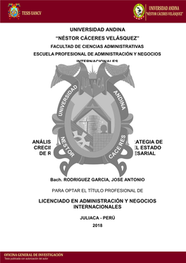 Universidad Andina “Néstor Cáceres Velásquez” Facultad De Ciencias Administrativas Escuela Profesional De Administración Y Negocios Internacionales