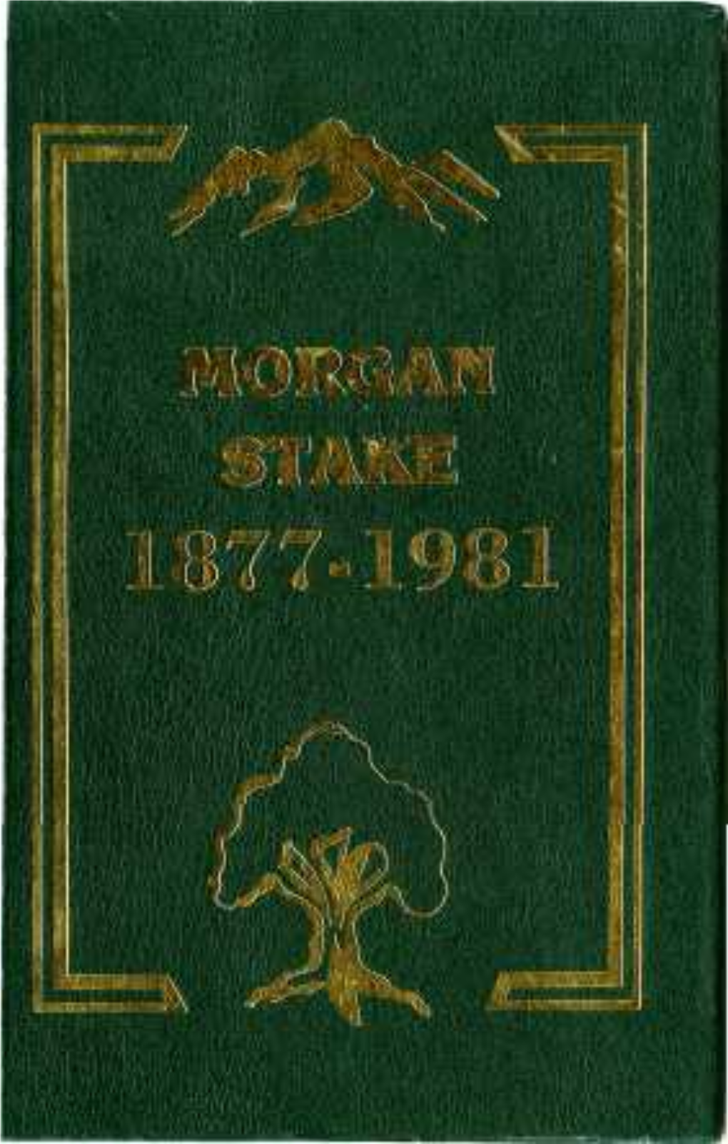 Morgan Stake 1877-1981