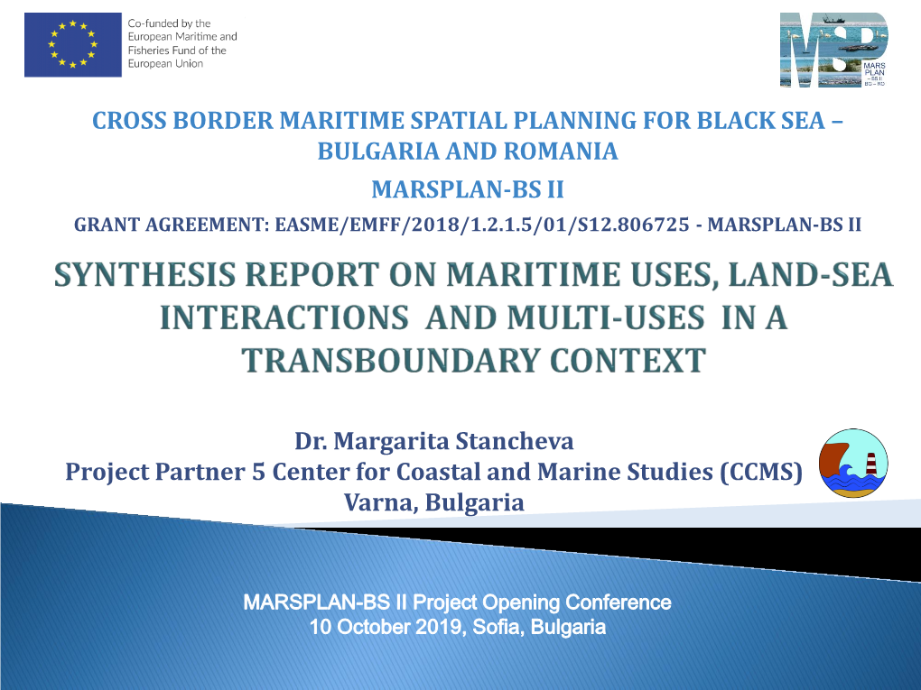 Mstancheva Synthesis Report 10102019